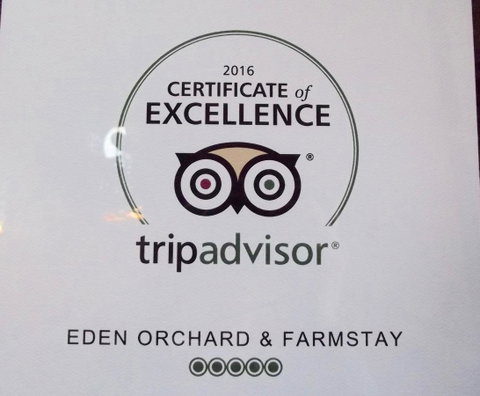 Eden Orchard & Farmstay - Geraldton Accommodation 28
