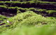 Eden Orchard & Farmstay - thumb 14
