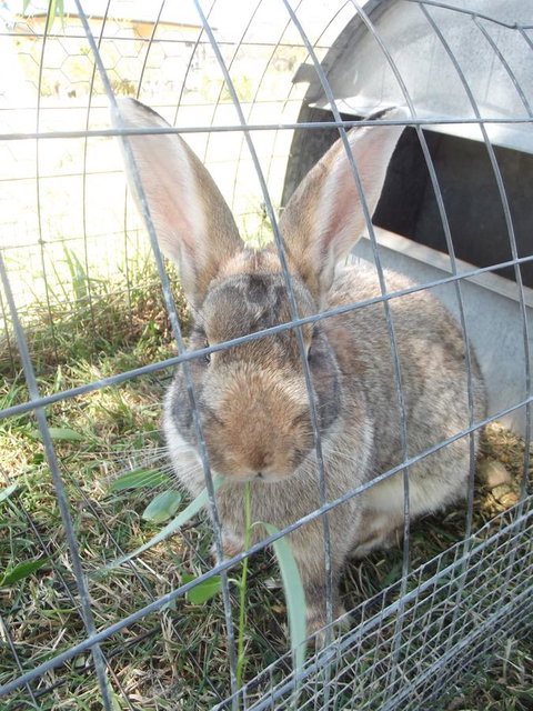Eden Orchard & Farmstay - Geraldton Accommodation 29