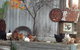 Eden Orchard & Farmstay - thumb 32