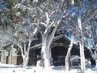 Book Dinner Plain Accommodation Vacations Geraldton Accommodation Geraldton Accommodation