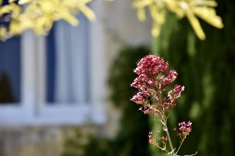 Villa Mallorca - Geraldton Accommodation 28