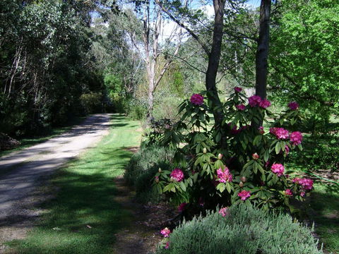 Shady Brook Cottages - Geraldton Accommodation 15