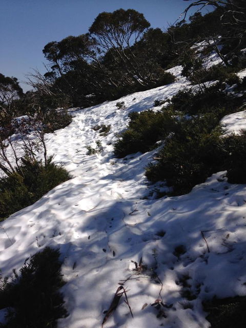 Shady Brook Cottages - Geraldton Accommodation 11