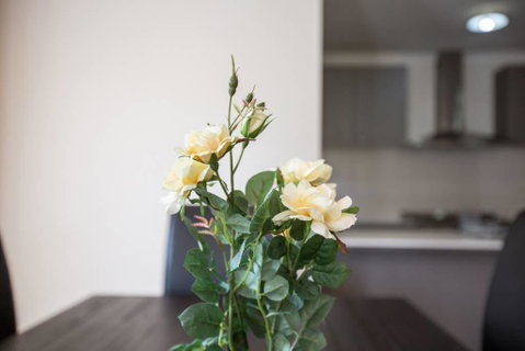 Holiday Rose - Geraldton Accommodation 8