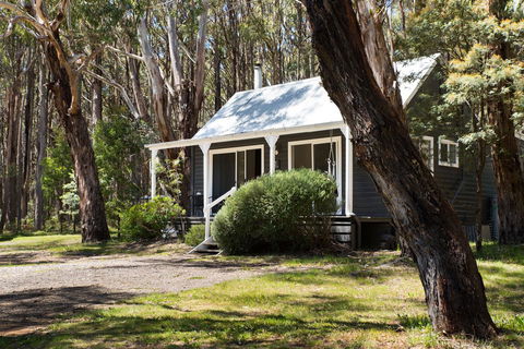 Bodhi Daylesford - Geraldton Accommodation 26