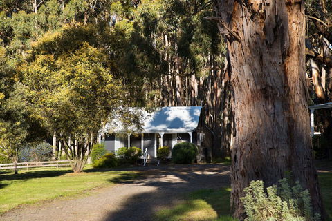 Bodhi Daylesford - Geraldton Accommodation 8