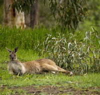 The Stirling Golf Club - Geraldton Accommodation
