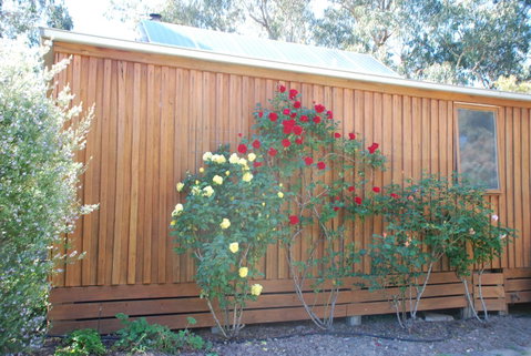 Bluegum Ridge Cottages - Geraldton Accommodation 23