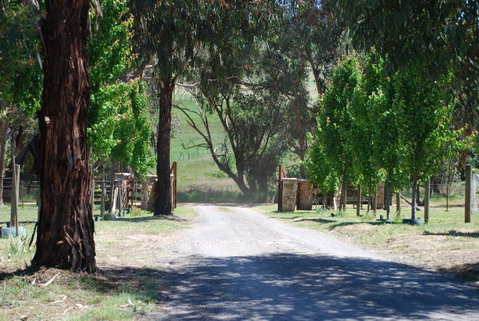 Bluegum Ridge Cottages - Geraldton Accommodation 3