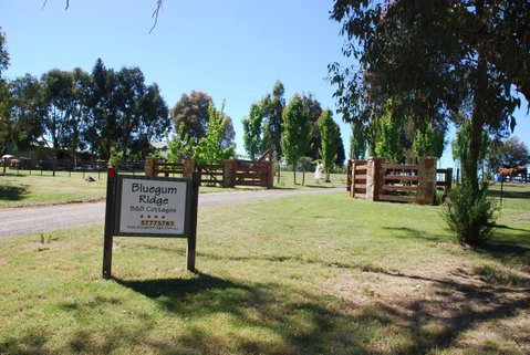 Bluegum Ridge Cottages - Geraldton Accommodation 1