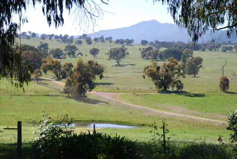 Bluegum Ridge Cottages - Geraldton Accommodation 31