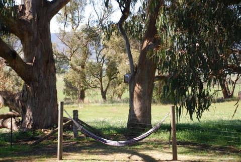 Bluegum Ridge Cottages - Geraldton Accommodation 28