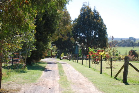 Bluegum Ridge Cottages - Geraldton Accommodation 4