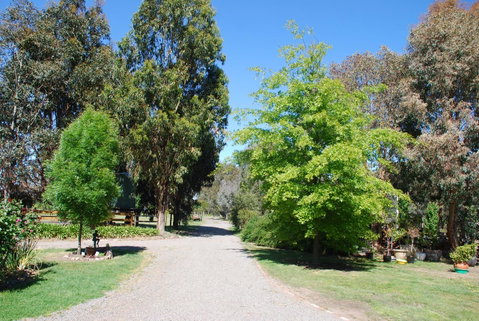 Bluegum Ridge Cottages - Geraldton Accommodation 5