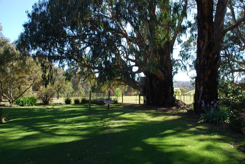 Bluegum Ridge Cottages - Geraldton Accommodation 29