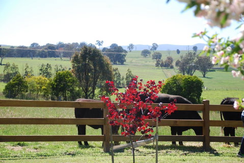 Bluegum Ridge Cottages - Geraldton Accommodation 33