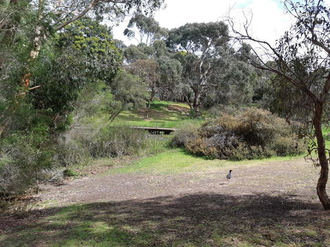 Elevated Holiday House Overlooks Tranquil Wetlands - Geraldton Accommodation 11