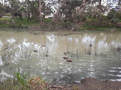 Elevated Holiday House Overlooks Tranquil Wetlands - Geraldton Accommodation 12
