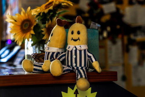 Cool Bananas Backpackers - Geraldton Accommodation 30
