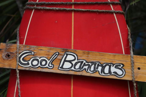 Cool Bananas Backpackers - Geraldton Accommodation 41