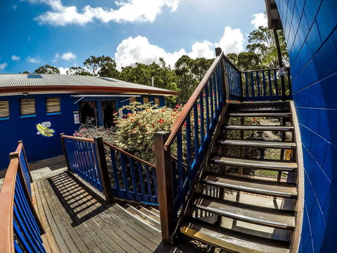 Cool Bananas Backpackers - Geraldton Accommodation 27