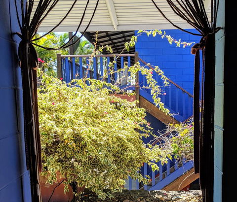 Cool Bananas Backpackers - Geraldton Accommodation 10