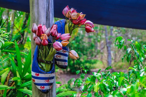 Cool Bananas Backpackers - Geraldton Accommodation 26
