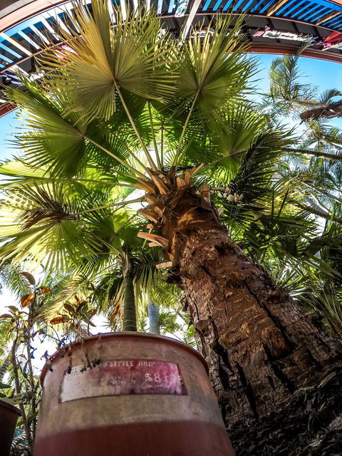 Cool Bananas Backpackers - Geraldton Accommodation 14