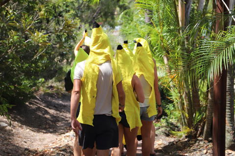 Cool Bananas Backpackers - Geraldton Accommodation 19