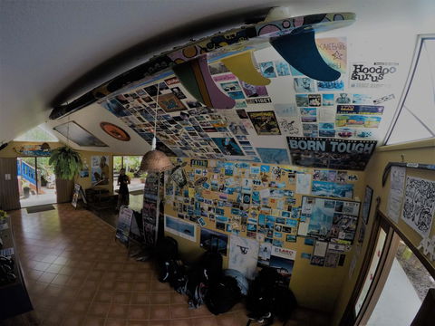 Cool Bananas Backpackers - Geraldton Accommodation 31