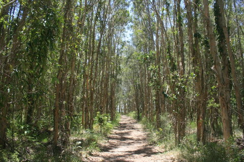 Lake Weyba Noosa Lodge & Kangaroos - Geraldton Accommodation 39