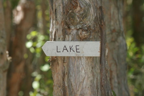 Lake Weyba Noosa Lodge & Kangaroos - Geraldton Accommodation 36