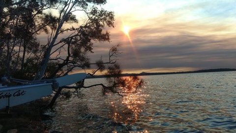 Lake Weyba Noosa Lodge & Kangaroos - Geraldton Accommodation 40