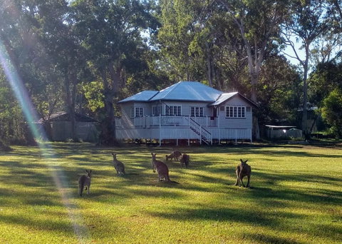 Lake Weyba Noosa Lodge & Kangaroos - Geraldton Accommodation 0
