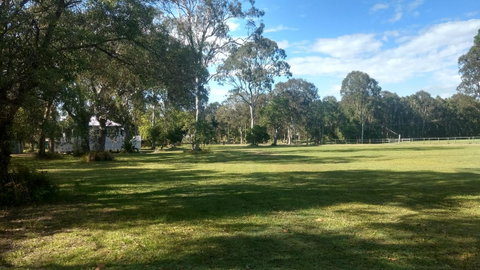 Lake Weyba Noosa Lodge & Kangaroos - Geraldton Accommodation 32