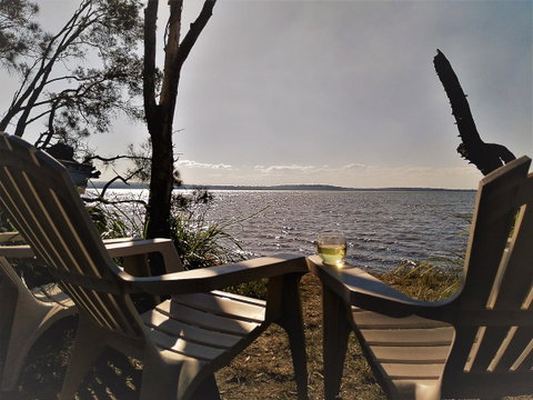 Lake Weyba Noosa Lodge & Kangaroos - Geraldton Accommodation 3
