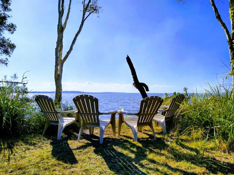 Lake Weyba Noosa Lodge & Kangaroos - Geraldton Accommodation 44