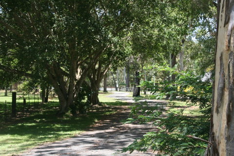 Lake Weyba Noosa Lodge & Kangaroos - Geraldton Accommodation 34