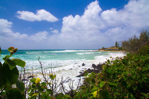 Rainbow Bay Backpackers - Geraldton Accommodation 0
