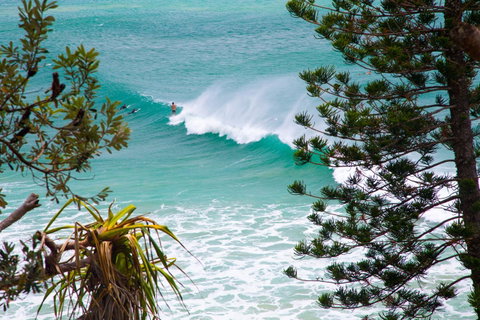 Rainbow Bay Backpackers - Geraldton Accommodation 15