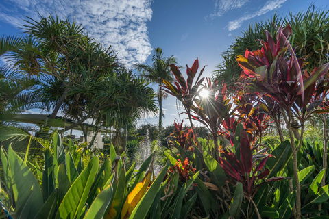 Currumbin Sands On The Beach - Geraldton Accommodation 9