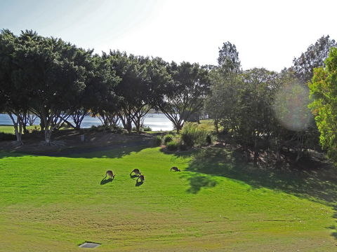 Waterfront Resort Villa With Buggy - Geraldton Accommodation 32