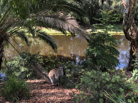 Waterfront Resort Villa With Buggy - Geraldton Accommodation 25