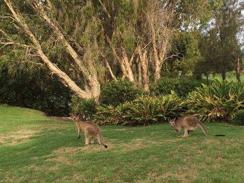 Waterfront Resort Villa With Buggy - Geraldton Accommodation 19