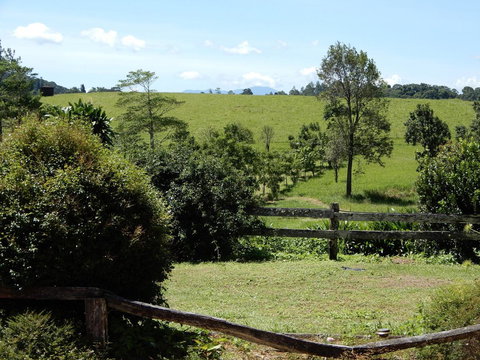 Malanda Manor Guesthouse - Geraldton Accommodation 17