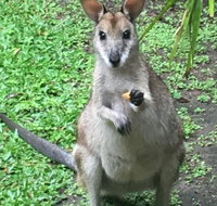Bluewater Bed  Breakfast Cairns - Geraldton Accommodation