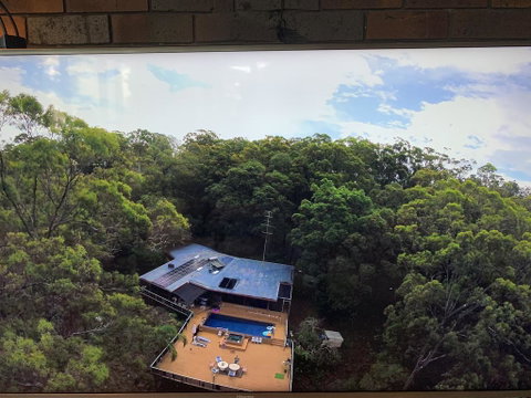 Where The Forest Meets The Sea On The Gold Coast - Geraldton Accommodation 1