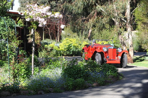 Wintarni Olives Cottage - Geraldton Accommodation 1