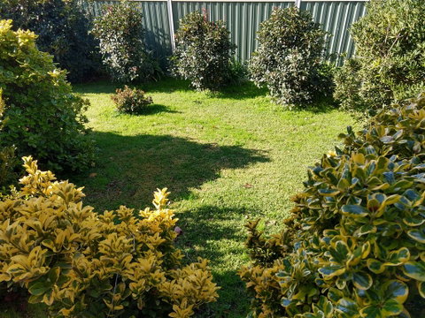 Young Goldrush Motel - Geraldton Accommodation 3